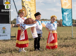 Фотоотчет: День поля гибридов и сортов подсолнечника, сортов сои 2024