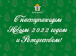 С наступающим  Новым 2022 годом и Рождеством!