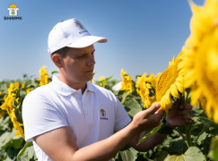 С днем работника сельского хозяйства и перерабатывающей промышленности