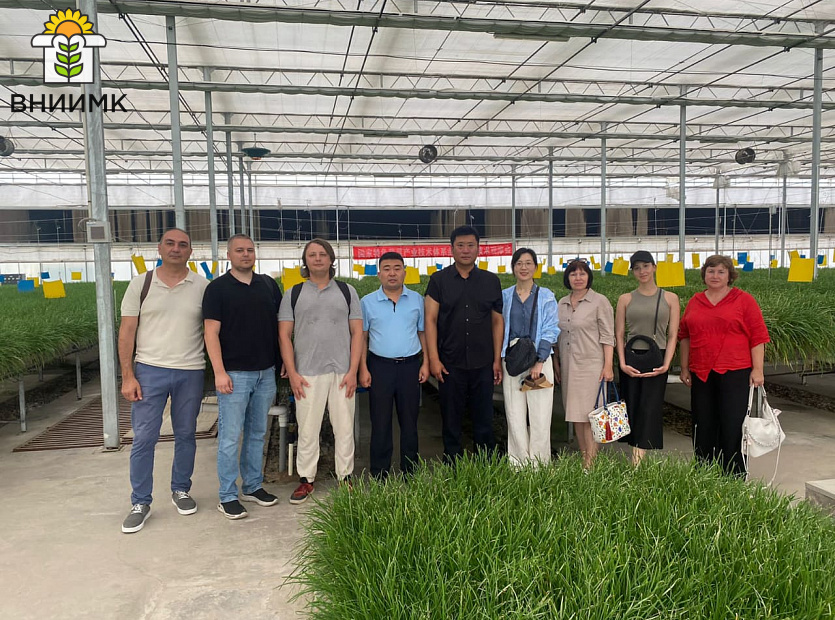 Ученые-ВНИИМК-прошли-стажировку-в-Пекине-2