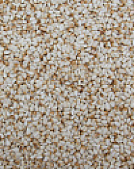 Сафлор Лидер