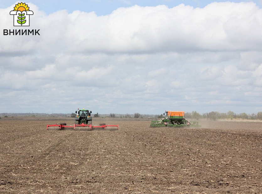 Лорис-и-Элвис-–-самые-востребованные-сорта-озимого-рапса-на-Ставрополье