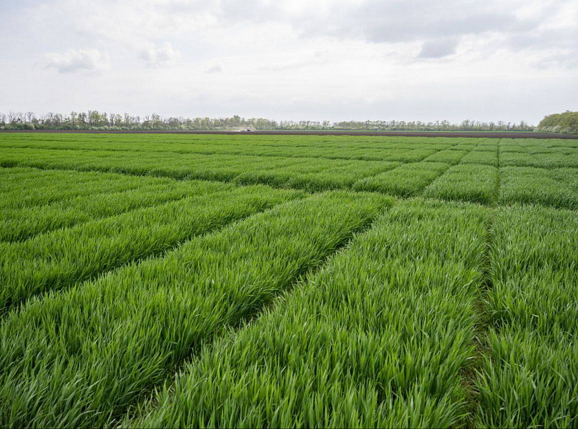 Участники-ЮНАТ-делятся-опытом-7