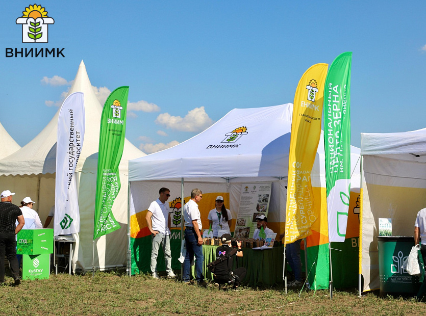 День-поля-ВНИИМК-2024-посетило-более-300-человек-11