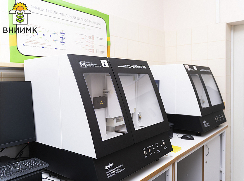 Profilnyy-komitet-ZSK-otsenil-perspektivy-razvitiya-selektsionnoy-raboty-v-regione-8