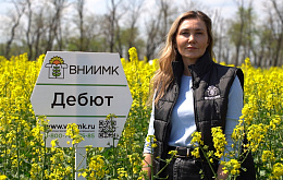 Озимый рапс Дебют – гибридная мощь и высокий урожай 