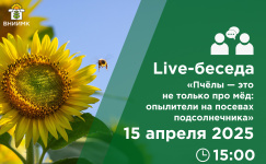 Live-беседа «Пчёлы – это не только про мёд: опылители на посевах подсолнечника»