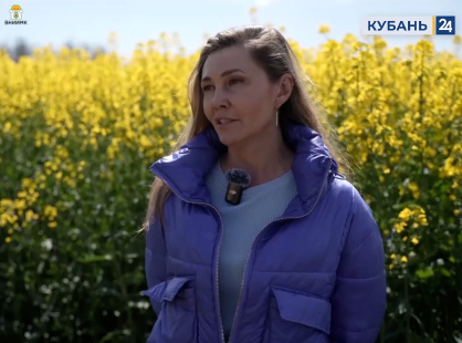 «Кубань 24» о востребованности рапса