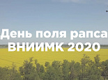 ДЕНЬ ПОЛЯ РАПСА ВНИИМК 2020