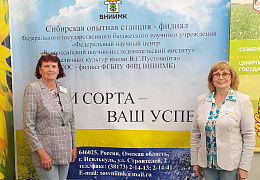 ВНИИМК на Сибирской аграрной неделе!
