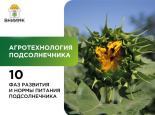 Биологические особенности агротехнологии подсолнечника.